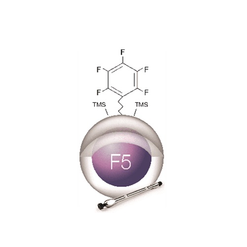 Kinetex 5 µm F5 productfoto Front View L-internal